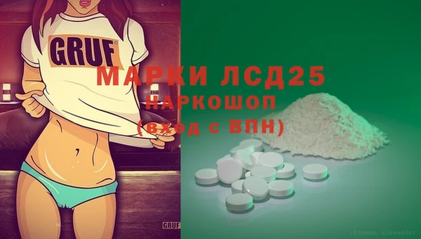 гидра Горняк