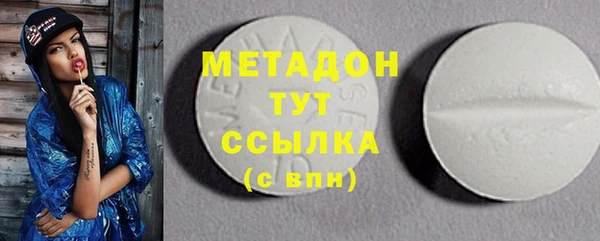 гидра Горняк
