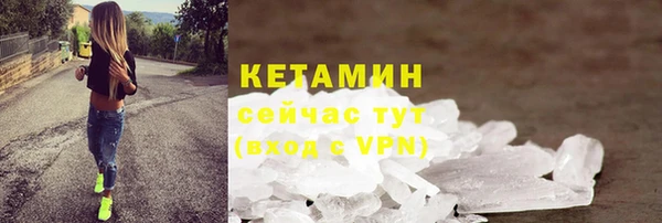 гидра Горняк