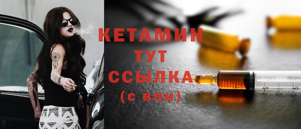 гидра Горняк