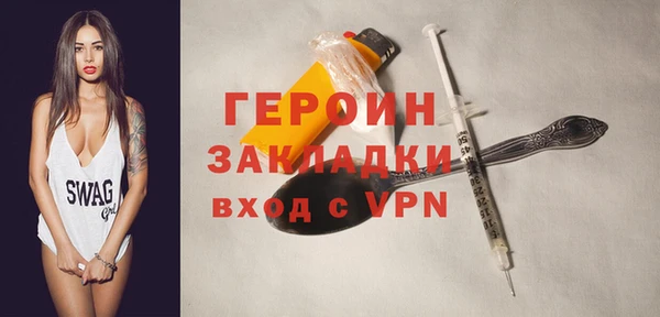 гидра Горняк