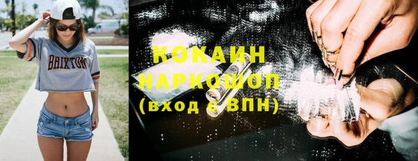 гидра Горняк
