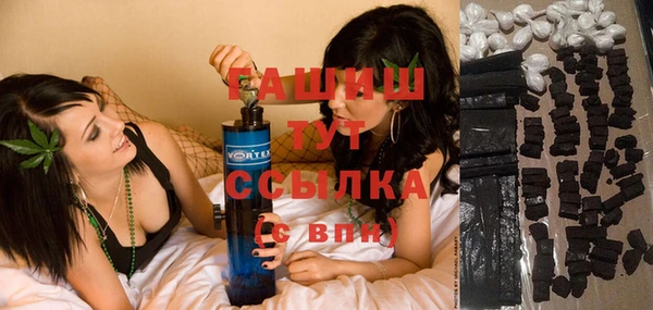 гидра Горняк