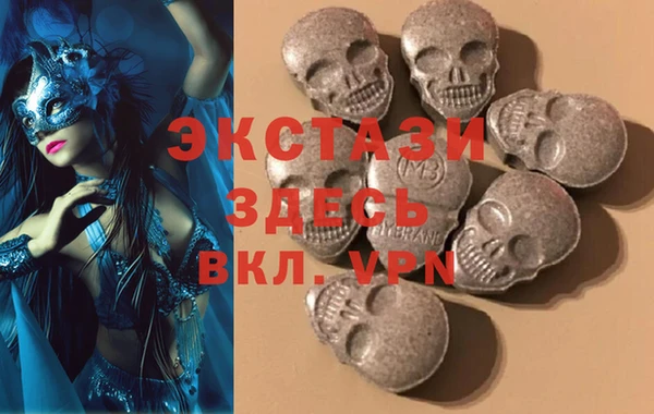 гидра Горняк