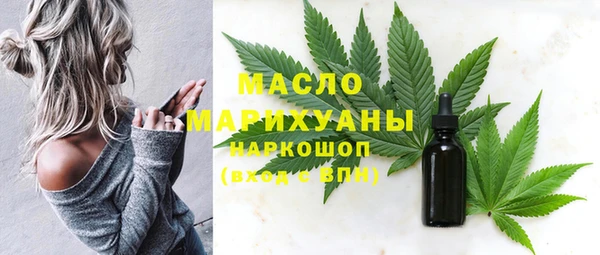 гидра Горняк