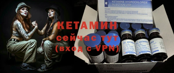 гидра Горняк