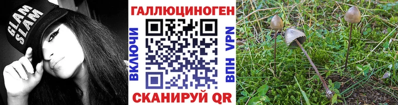 Галлюциногенные грибы прущие грибы  Обнинск 